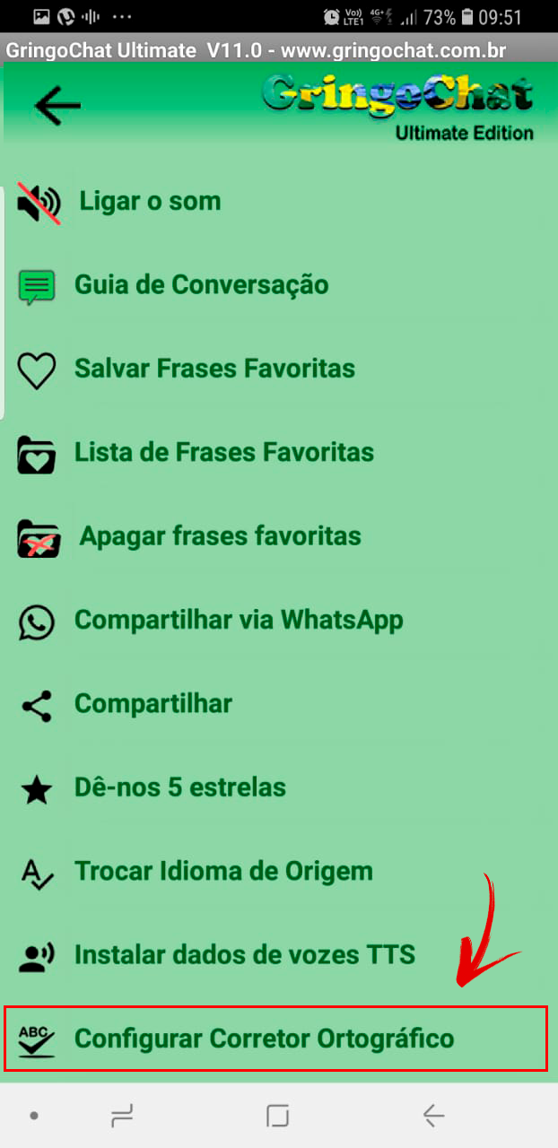 GringoChat 1